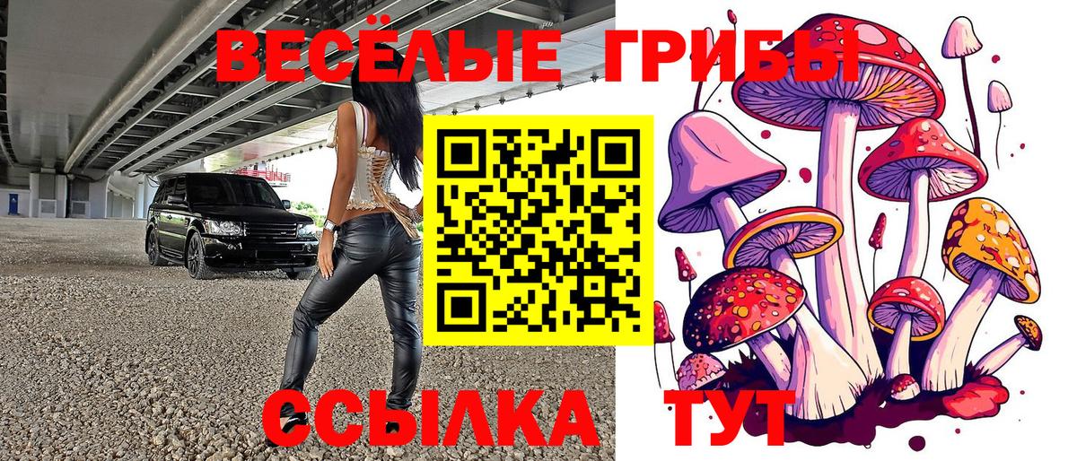Галлюциногенные грибы GOLDEN TEACHER  Вход с VPN  Янаул 